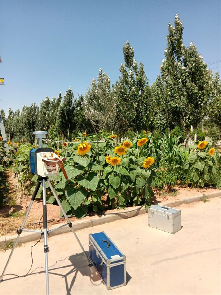 現場(chǎng)無(wú)組織采樣